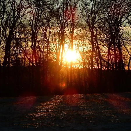 아파트 Haus Kellenburg 알브쉬타트