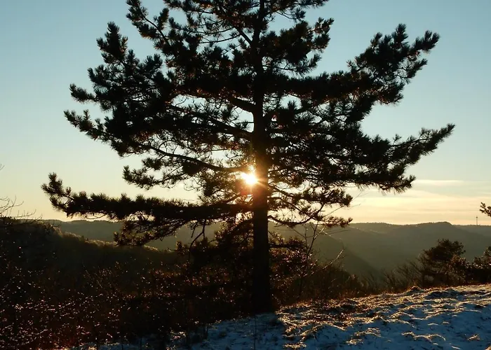 Haus Kellenburg * Albstadt